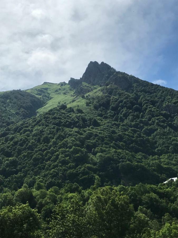 Residence Isard Blanc Cauterets Dış mekan fotoğraf